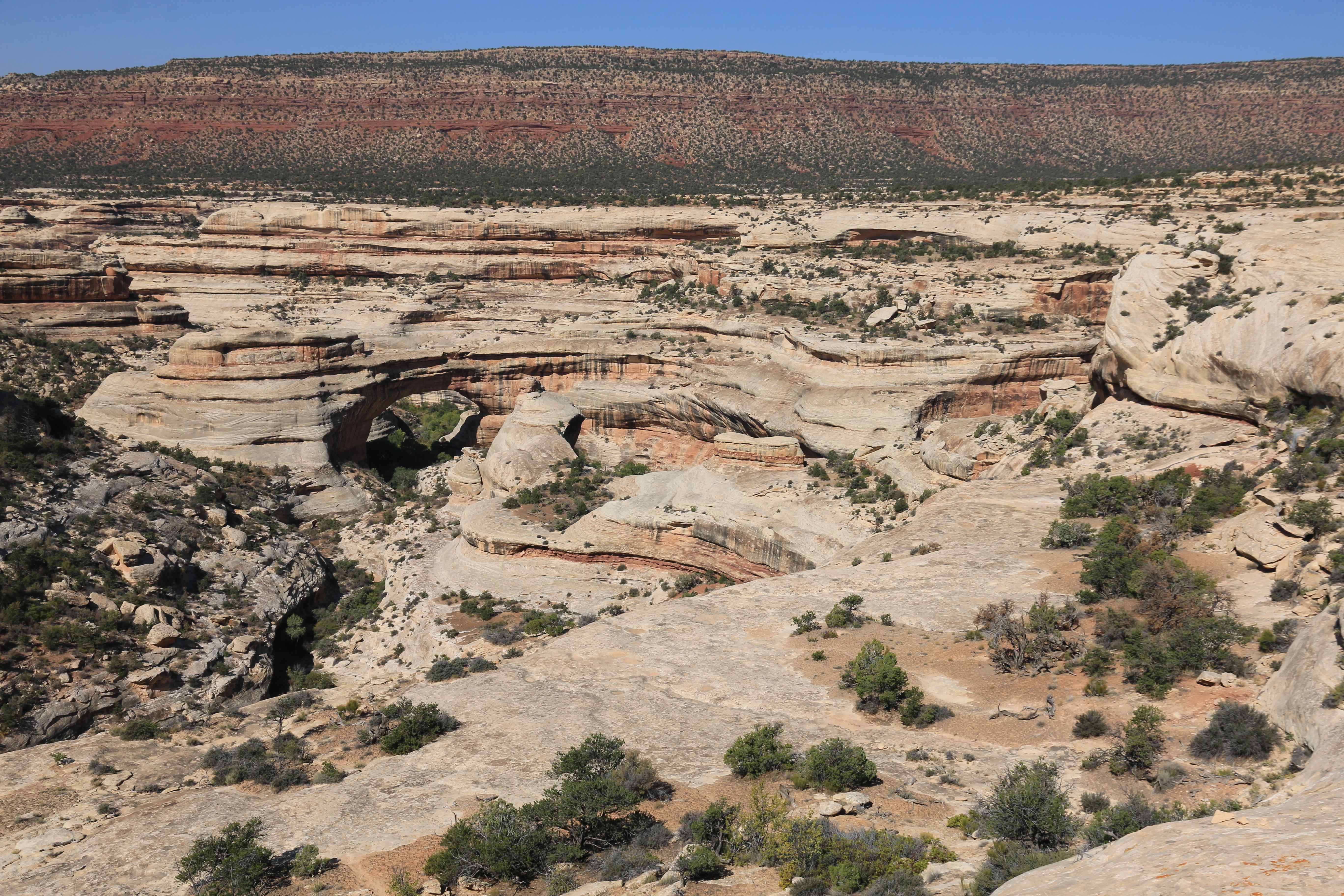 Natural Bridges NM